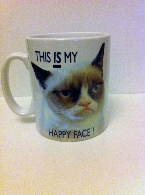 click here to view Grumpy cat 